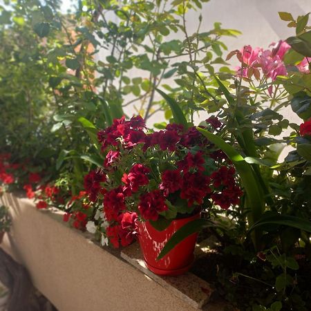 Apartments Gazi Ülgün Dış mekan fotoğraf