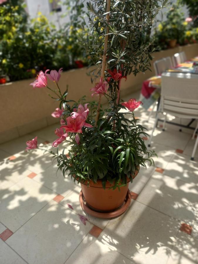 Apartments Gazi Ülgün Dış mekan fotoğraf