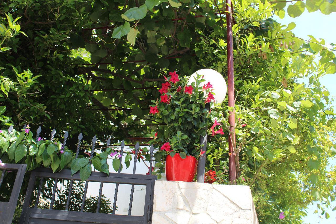 Apartments Gazi Ülgün Dış mekan fotoğraf