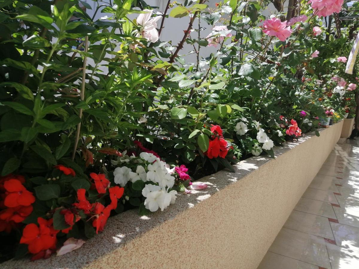 Apartments Gazi Ülgün Dış mekan fotoğraf