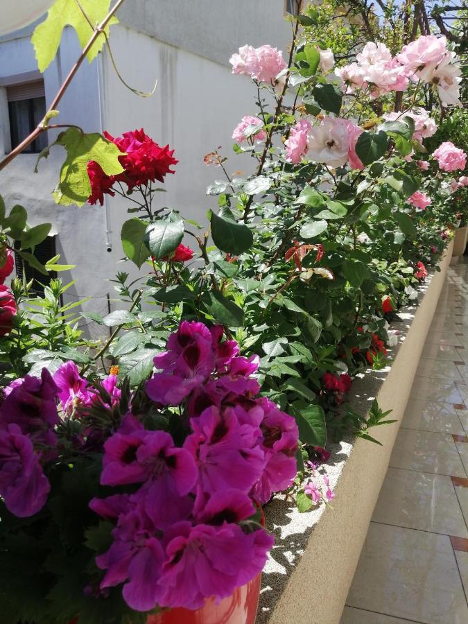 Apartments Gazi Ülgün Dış mekan fotoğraf